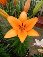 [5120 Puma DJ No02.JPG]